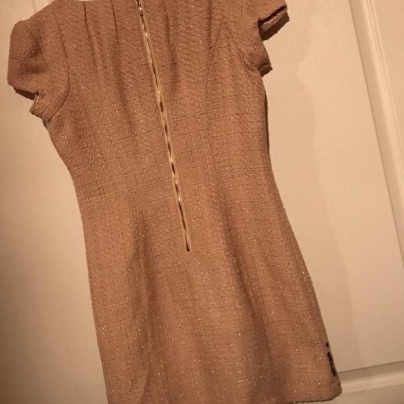 Blush Pink Dress with Gold Accents - Picture 5 of 6